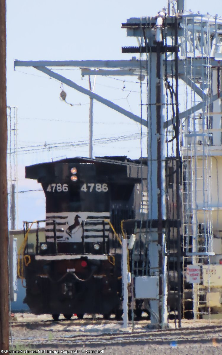 NS 4786